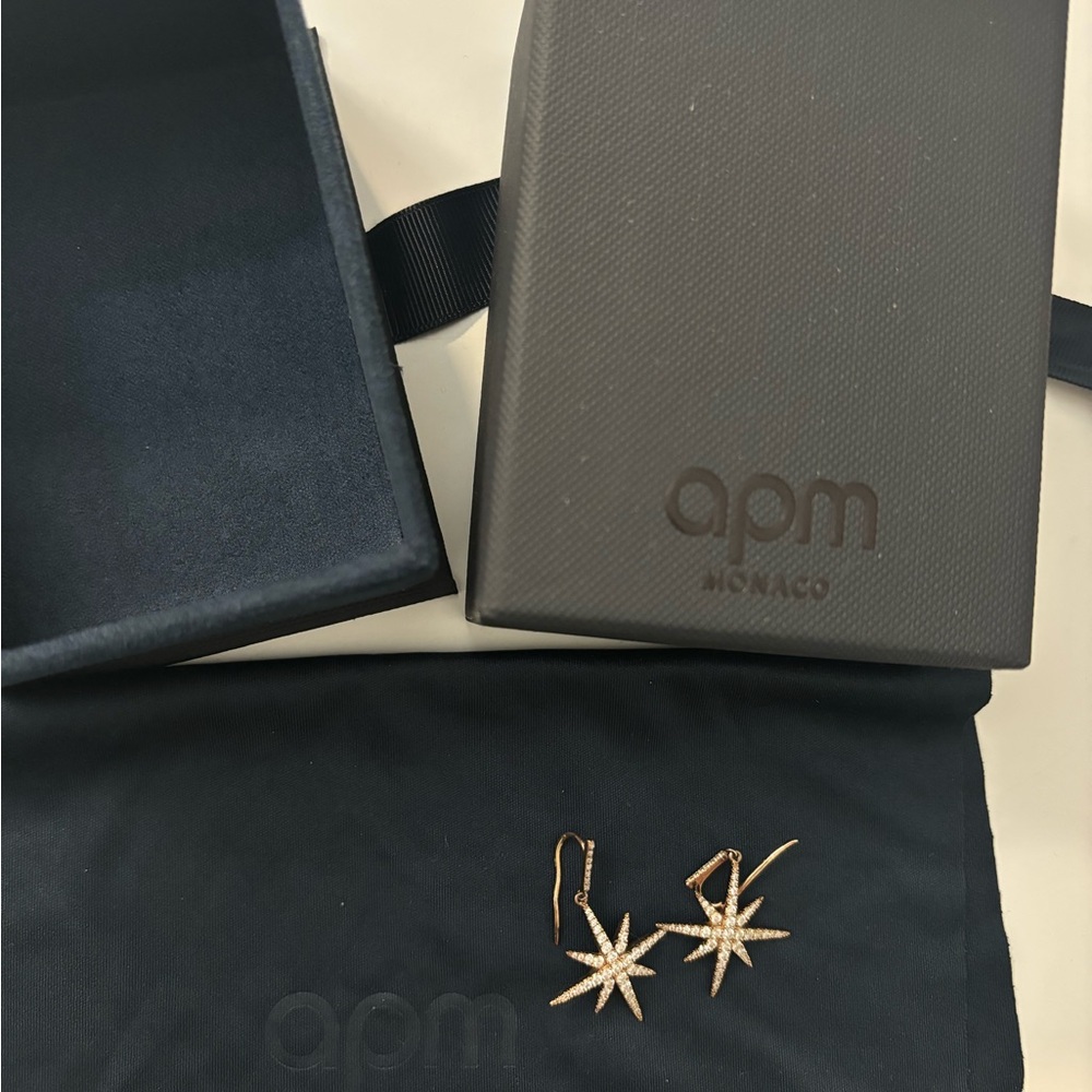 APM earring meteorites collection
